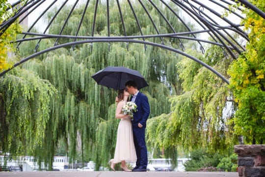 >Toronto Music Garden park Wedding Pictures